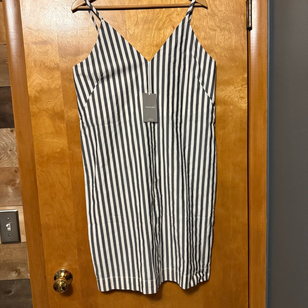 Everlane Black and White Striped Mini Dress